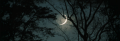 Thumbnail for version as of 17:17, 19 June 2026